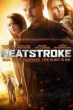 Heatstroke ( 2013 )