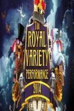 The Royal Variety Performance ( 2014 )