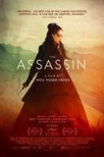 The Assassin ( 2015 )