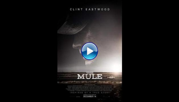 The Mule (2018)