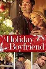 A Holiday Boyfriend