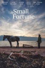 A Small Fortune
